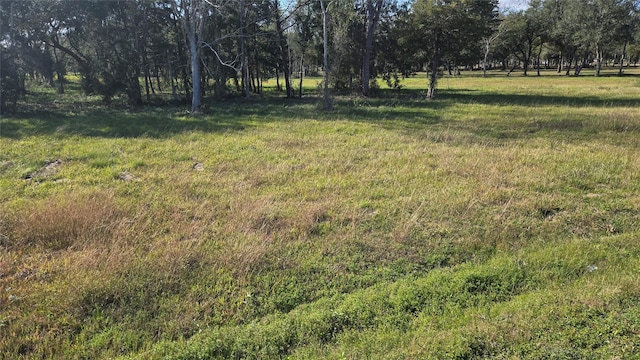 Listing photo 3 for 3828 County Road 326, Alvin TX 77511