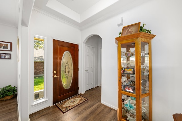 foyer featuring a raised ceiling and dark wood-type flooring