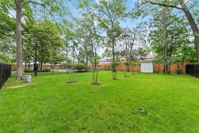 view of yard with a storage shed