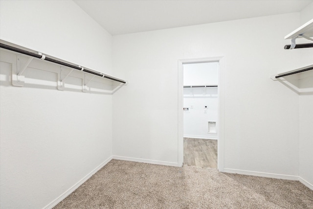 spacious closet featuring light carpet