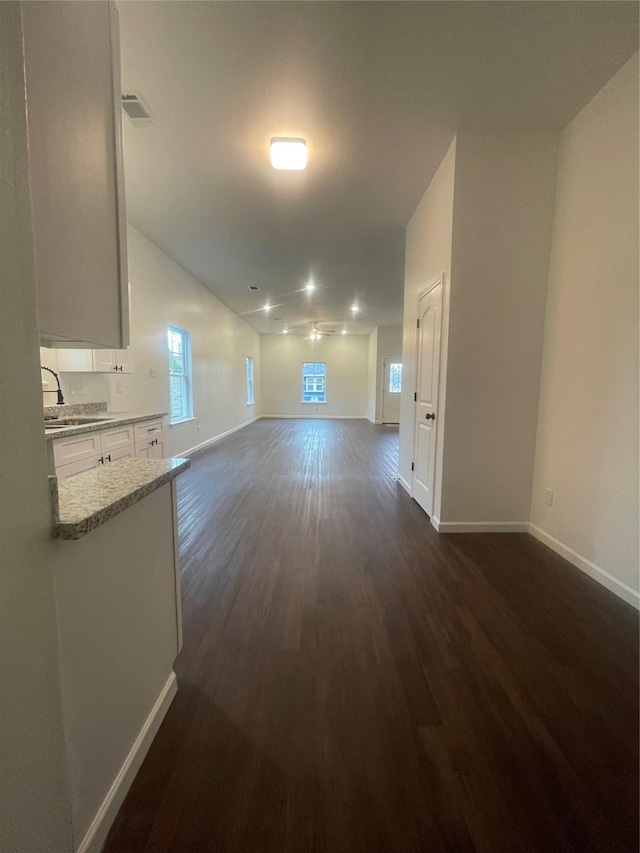 unfurnished living room featuring dark wood-type flooring and sink