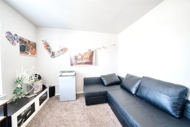 living room featuring carpet