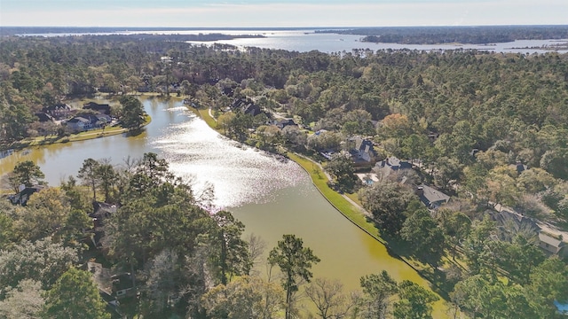 bird's eye view with a water view and a view of trees