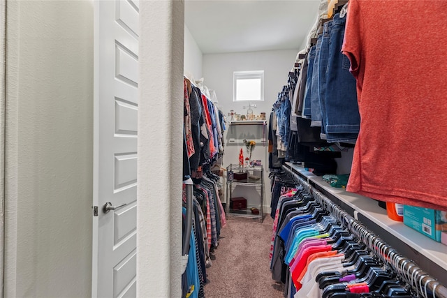 spacious closet featuring carpet