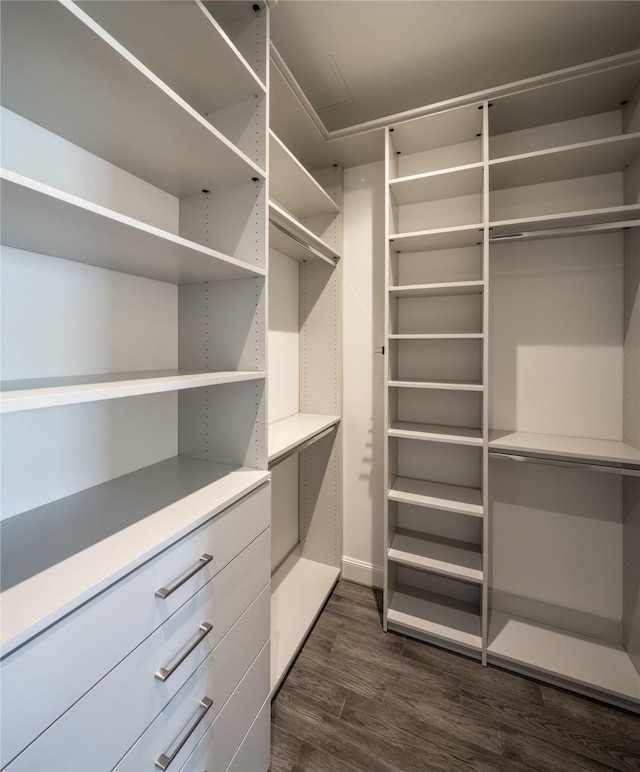 spacious closet featuring dark wood-type flooring