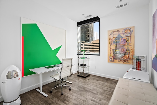 office featuring wood-type flooring