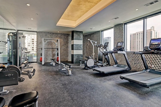 exercise room featuring a wall of windows