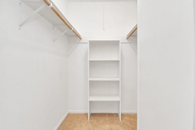 walk in closet featuring light carpet