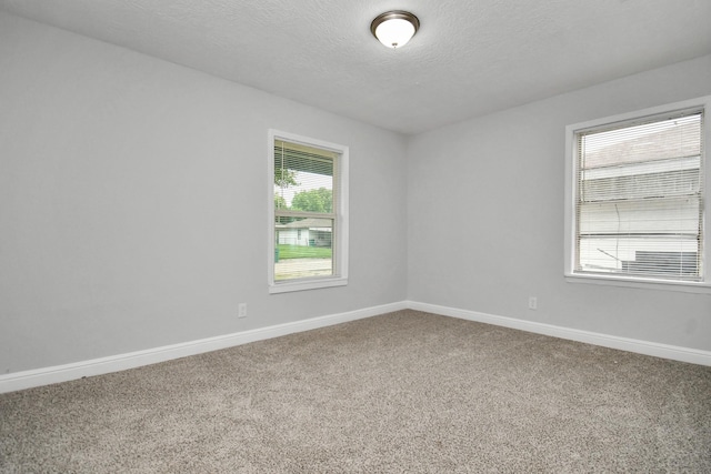 spare room with carpet and a textured ceiling