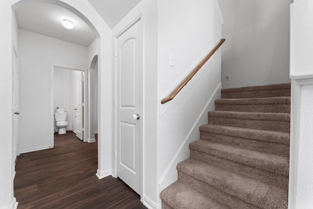 stairway featuring wood-type flooring