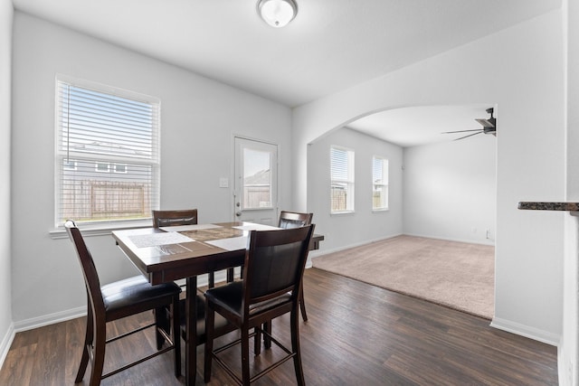 dining space with ceiling fan and dark hardwood / wood-style floors