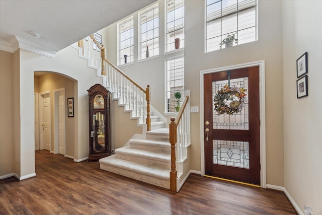 entrance foyer with crown molding, plenty of natural light, and dark wood-type flooring