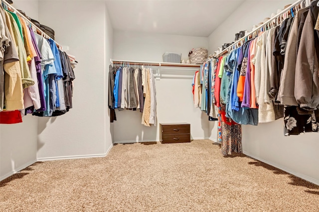 walk in closet with carpet flooring