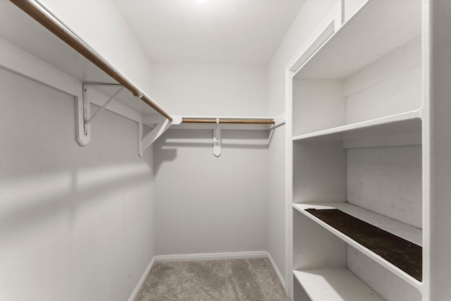 spacious closet with carpet floors