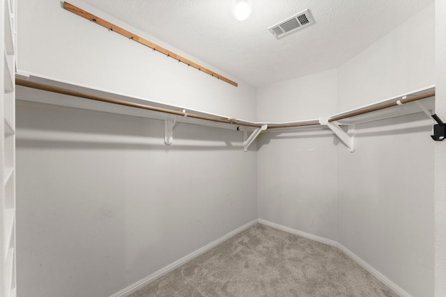 walk in closet with light carpet