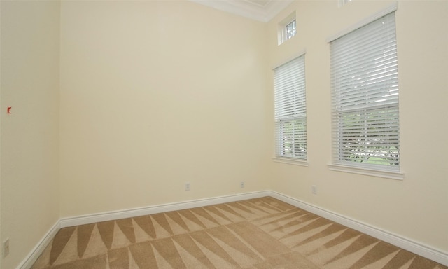 carpeted spare room featuring plenty of natural light and ornamental molding