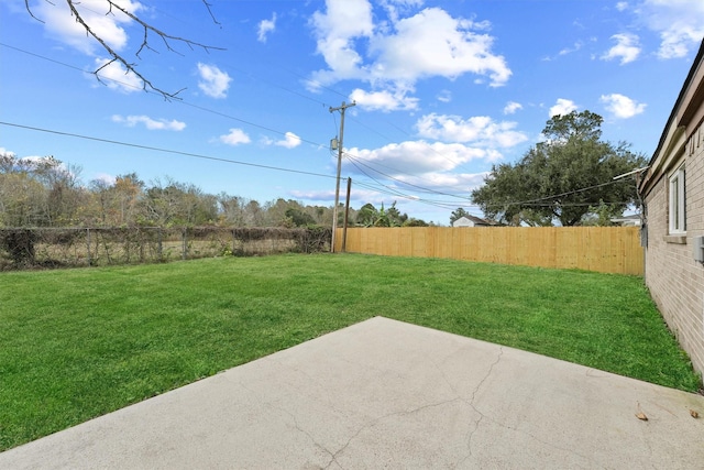 view of yard with a patio area