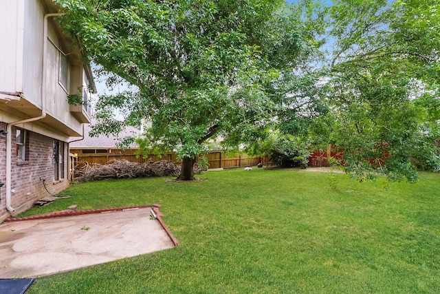 view of yard featuring a patio