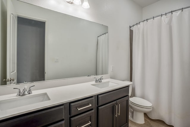 bathroom with vanity, wood-type flooring, and toilet