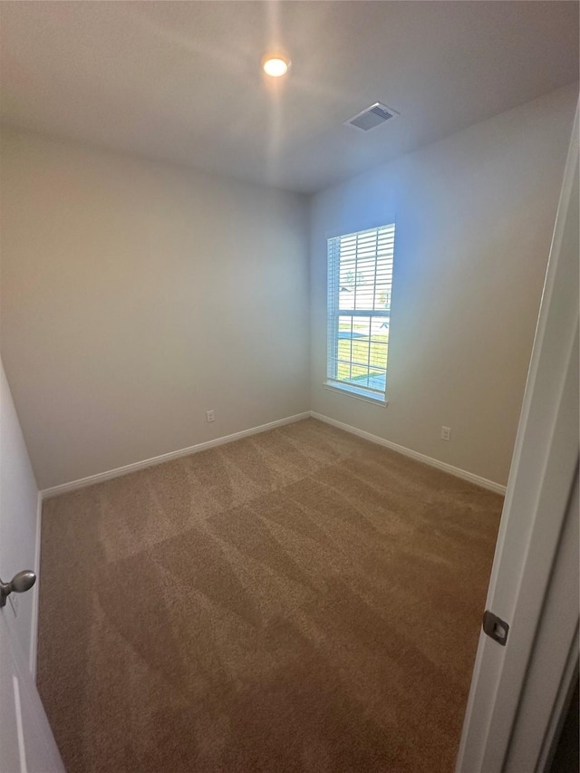 spare room with carpet