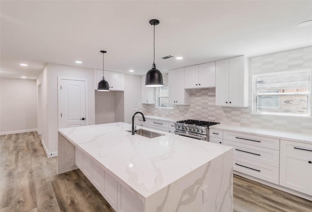 kitchen featuring light stone countertops, high end range, sink, and a kitchen island with sink