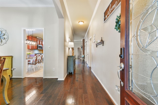 foyer with dark hardwood / wood-style flooring and crown molding