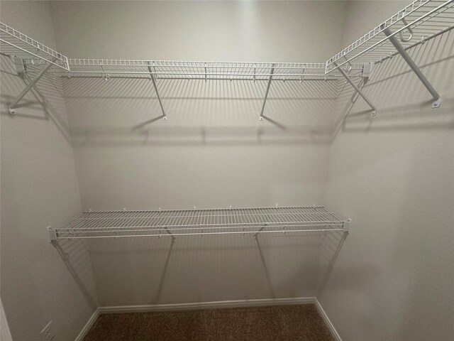 walk in closet featuring carpet flooring