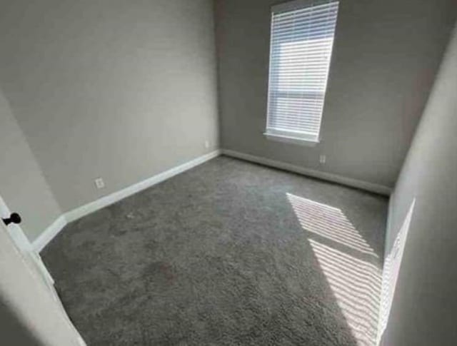 unfurnished room featuring carpet floors