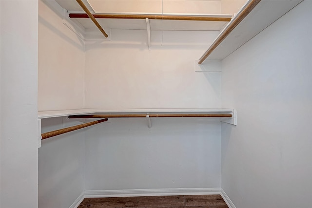 walk in closet featuring dark hardwood / wood-style flooring