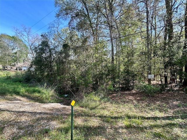 Listing photo 2 for LOT77-B Royal Lake Dr, Conroe TX 77303