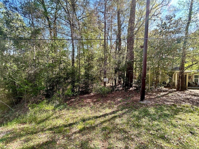 Listing photo 3 for LOT77-B Royal Lake Dr, Conroe TX 77303