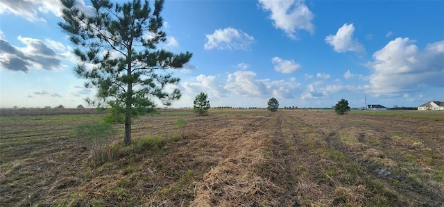 Listing photo 3 for LOT1 Fm 365, Beaumont TX 77705