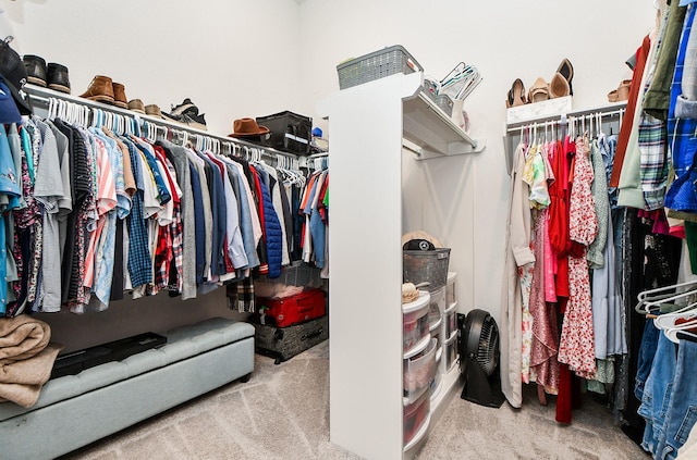 walk in closet featuring light carpet