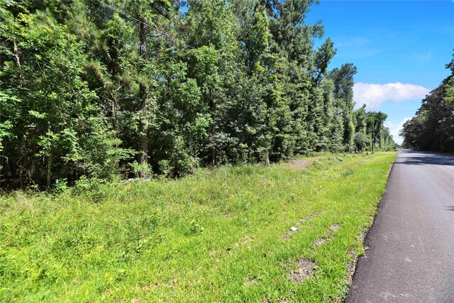 TBD Hueni Rd, Houston, TX 77365 - photo 4