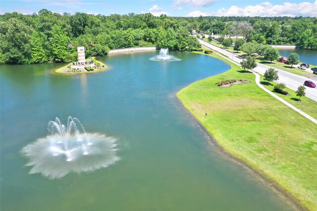 TBD Hueni Rd, Houston, TX 77365 - photo 16