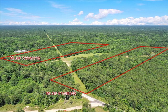 TBD Hueni Rd, Houston, TX 77365 - photo 11