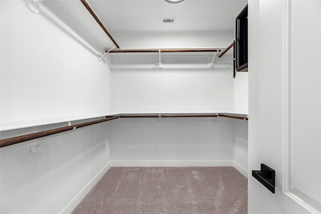 spacious closet with carpet flooring