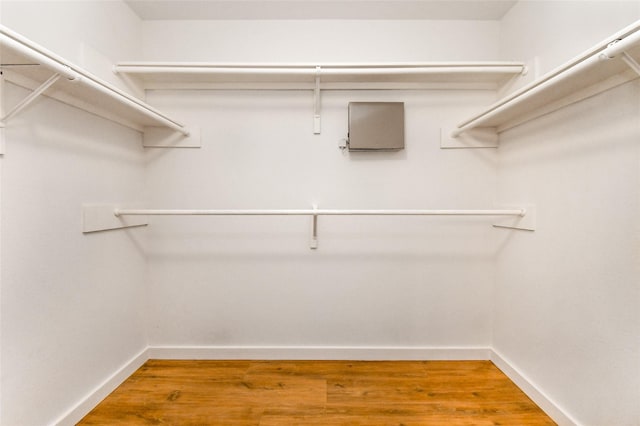 spacious closet featuring hardwood / wood-style floors