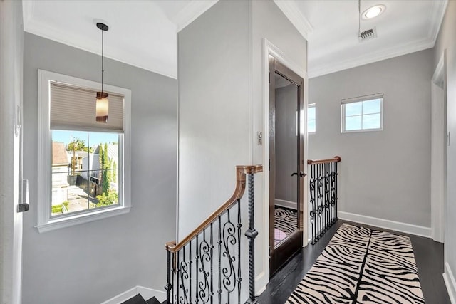 hallway featuring dark hardwood / wood-style flooring, ornamental molding, and a wealth of natural light