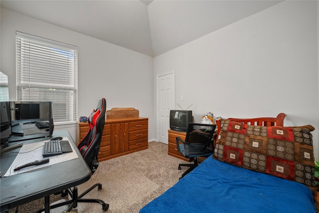 office space with carpet flooring and vaulted ceiling