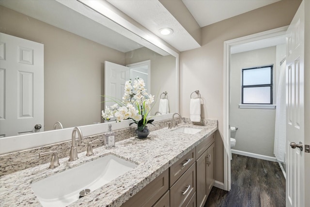 bathroom featuring vanity, hardwood / wood-style flooring, and toilet