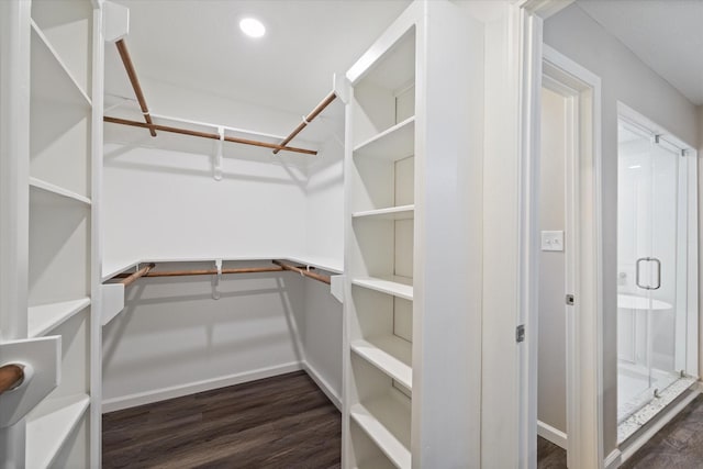 walk in closet with dark wood-type flooring