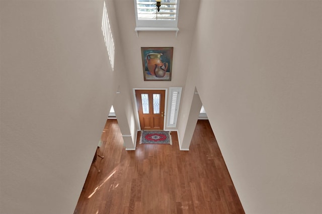 foyer with a high ceiling and hardwood / wood-style floors