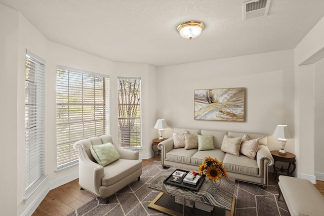 living room featuring dark hardwood / wood-style flooring and a textured ceiling