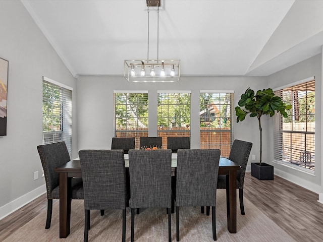 dining area featuring hardwood / wood-style floors, vaulted ceiling, and plenty of natural light