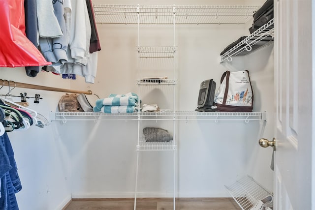 spacious closet featuring light wood-type flooring