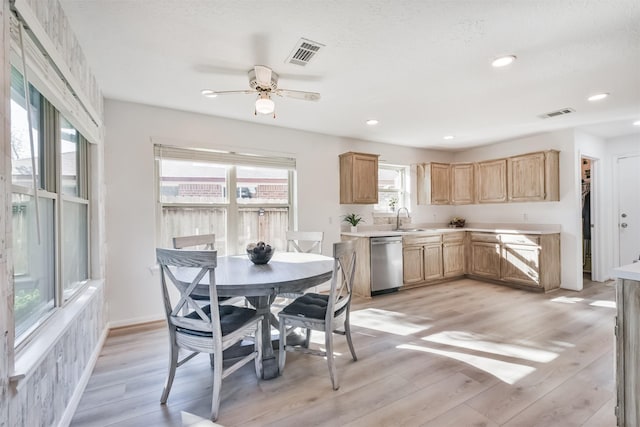 dining room featuring ceiling fan, sink, and light wood-type flooring