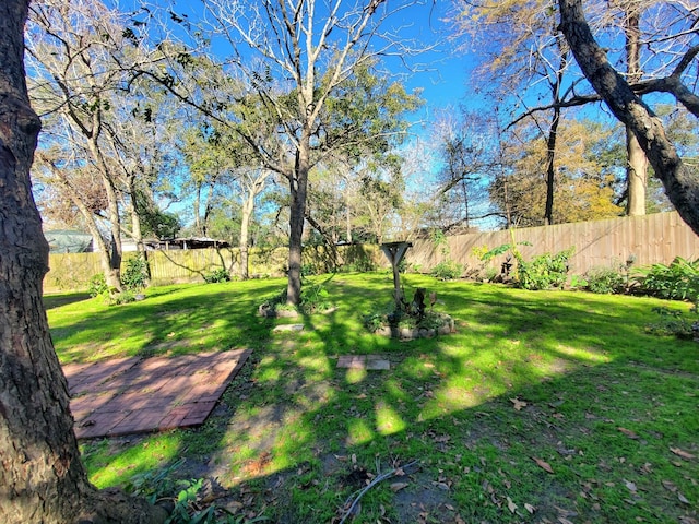 view of yard featuring a fenced backyard