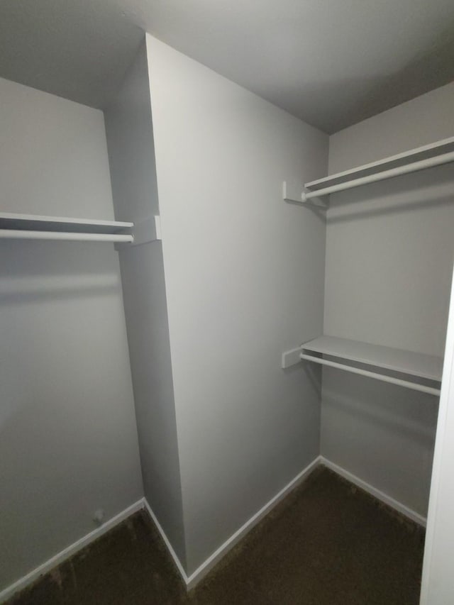 walk in closet featuring carpet