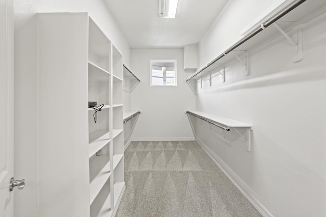 walk in closet with light carpet